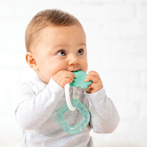 Nattou Silicon Teething ring with cooling element (Available in 3 colors)